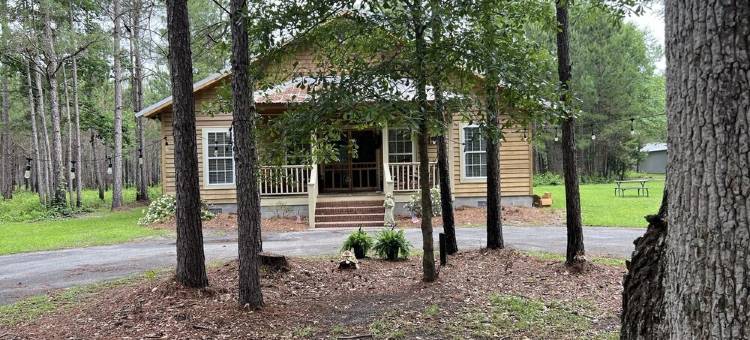 Cottage In The Woods, Lots Of Wildlife, Gated, And Paved, And Very Private,图片