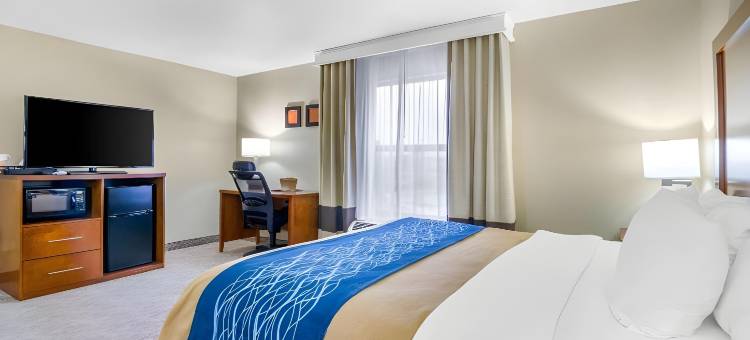 渥太华舒适酒店(Comfort Inn Ottawa)图片