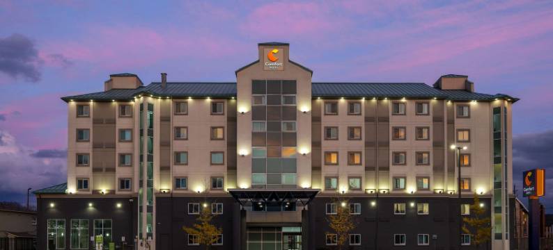 舒适酒店(Comfort Hotel)图片