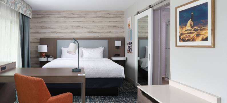 欢朋旅馆&套房马尼斯蒂海滨(Hampton Inn & Suites Manistee Waterfront)图片