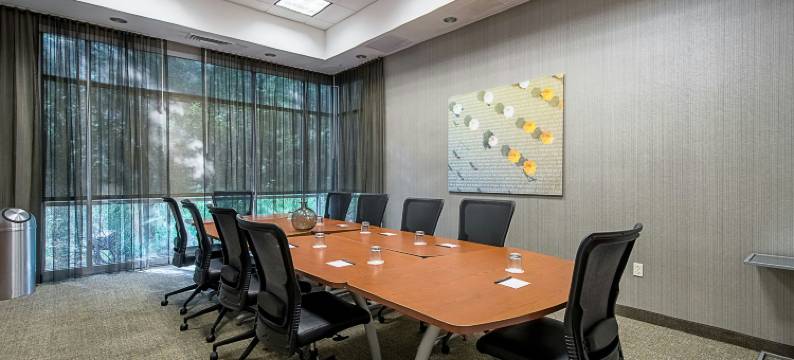 坦帕北/坦帕棕榈万豪SpringHill酒店(SpringHill Suites Tampa North/I-75 Tampa Palms)图片