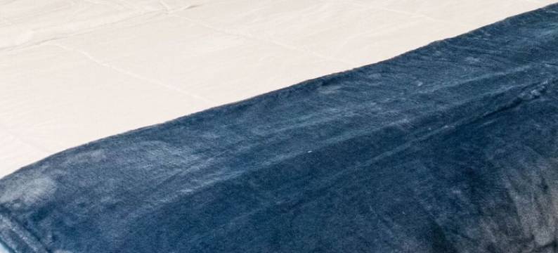 橙子 by Wellcome(Orange by Wellcome)图片