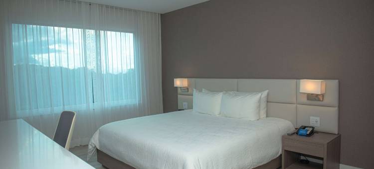 希尔顿花园酒店圣安娜圣何塞(Hilton Garden Inn Santa Ana San Jose)图片