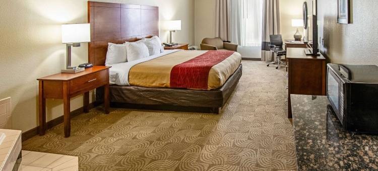 桑蒂I-95舒适套房酒店(Comfort Inn & Suites Santee I-95)图片