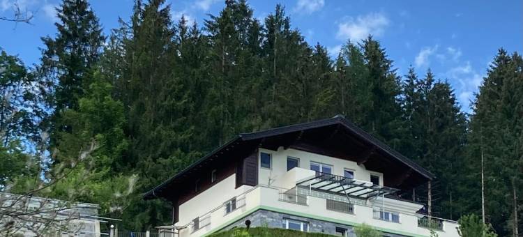 平茨高的度假公寓(Chalet in Mittersill Near Ski Lift)图片