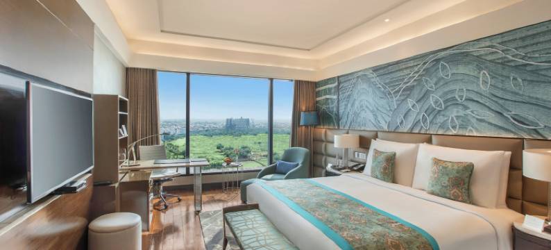 新德里利拉格调会议酒店(The Leela Ambience Convention Hotel Delhi)图片