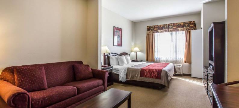 盖蒙品质酒店(Quality Inn & Suites)图片