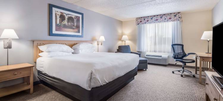 西菲尼克斯古德伊尔红狮套房酒店(Red Lion Inn & Suites Goodyear Phoenix)图片