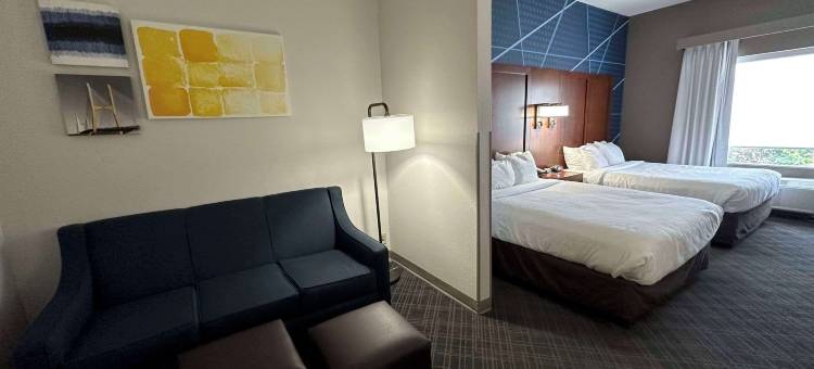 杰克逊开普吉拉多舒适套房酒店(Comfort Suites Jackson-Cape Girardeau)图片