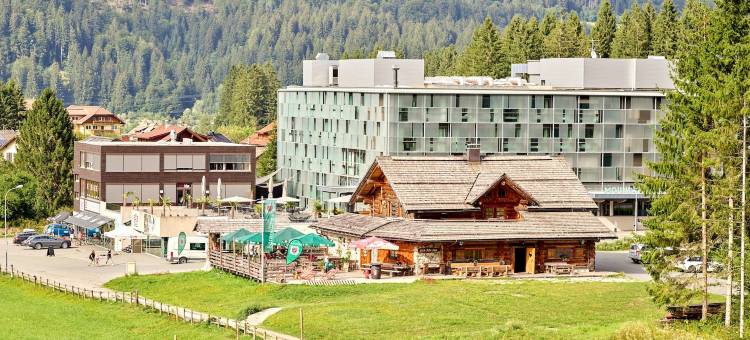 纳斯费尔德法朗兹费迪南阿里纳酒店(Arena Franz Ferdinand Nassfeld)图片