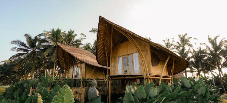 Puca Gavi乌布豪华生态别墅(Puca Gavi Eco Luxury Villa Ubud Managed by Manara)图片