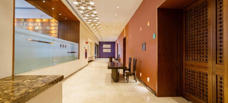 佩德雷加尔卡米诺里尔酒店(Camino Real Pedregal Mexico)图片