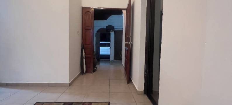 多美尼卡伊莎贝拉的精品酒店(Hotel Boutique Domenica Isabella's)图片