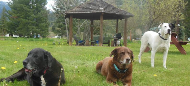 克拉克福克旅馆(Clark Fork Lodge)图片