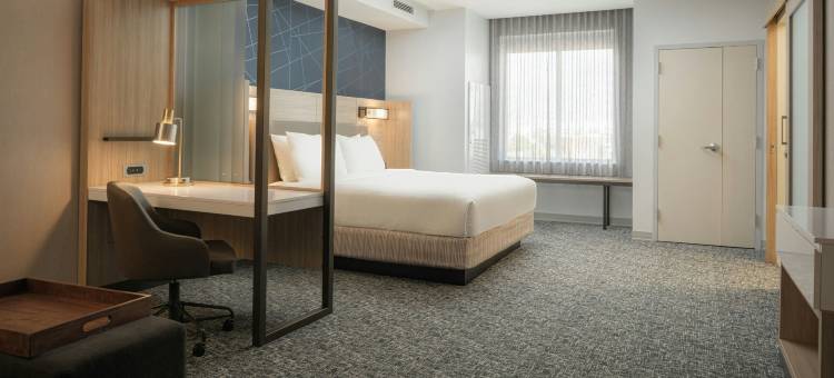 万豪斯泊林山套房酒店 - 坦帕布兰登(SpringHill Suites Tampa Downtown)图片