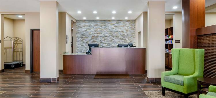 萨莱纳北舒适套房酒店(Comfort Inn & Suites Salina North)图片