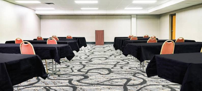 沃索戴斯套房酒店(Days Inn & Suites by Wyndham Wausau)图片