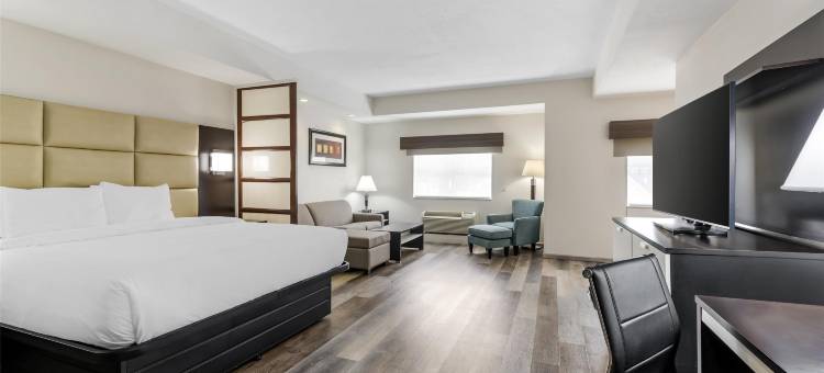 JFK贝斯特韦斯特优质套房酒店(Best Western Plus JFK Inn  Suites)图片