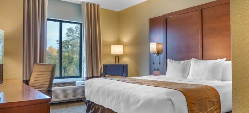 博伊西机场舒适套房酒店(Comfort Inn & Suites Boise Airport)图片