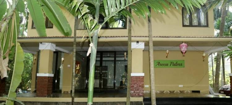 阿雷卡棕榈酒店(Areca Palms)图片