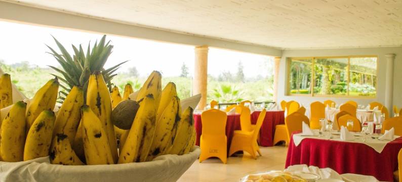 湖景度假村酒店(Lake View Resort Hotel)图片