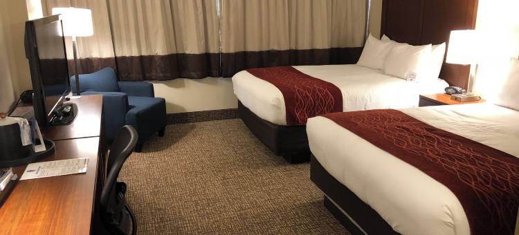 科普兰大楼舒适套房酒店(Comfort Inn & Suites at Copeland Tower)图片