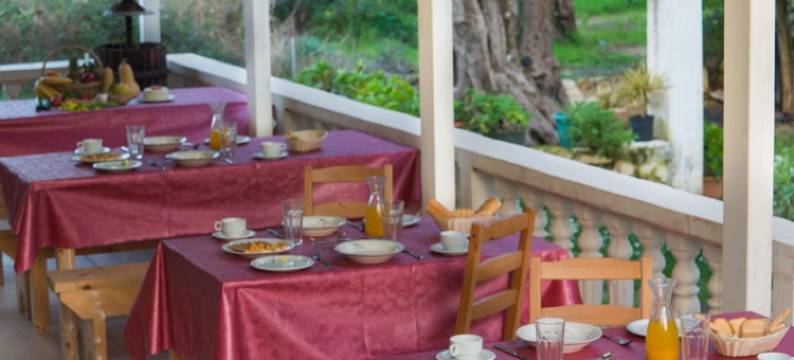 希罗多德公寓酒店(Herodotos Studios)图片