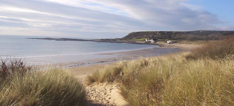 斑鸠别墅酒店(Culver House Hotel)图片
