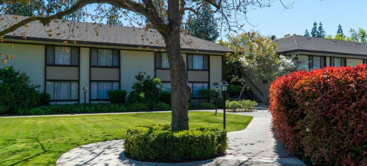 皮卡迪利酒店(Hotel Piccadilly)图片