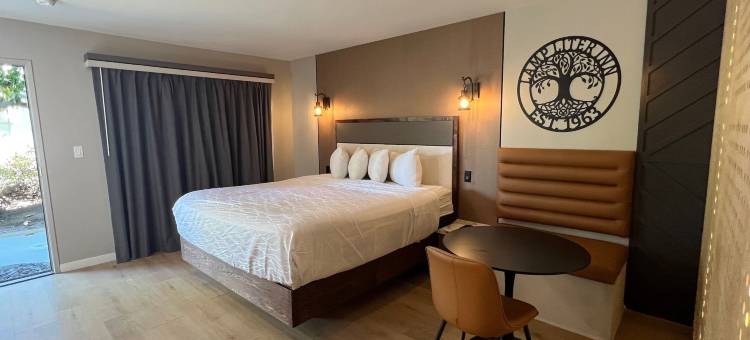 灯升客栈(Lamp Liter Inn)图片