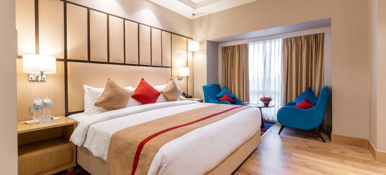 加德满都丽筠酒店(Radisson Hotel Kathmandu)图片