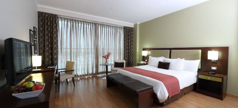 希达德大卫酒店(Hotel Ciudad de David)图片