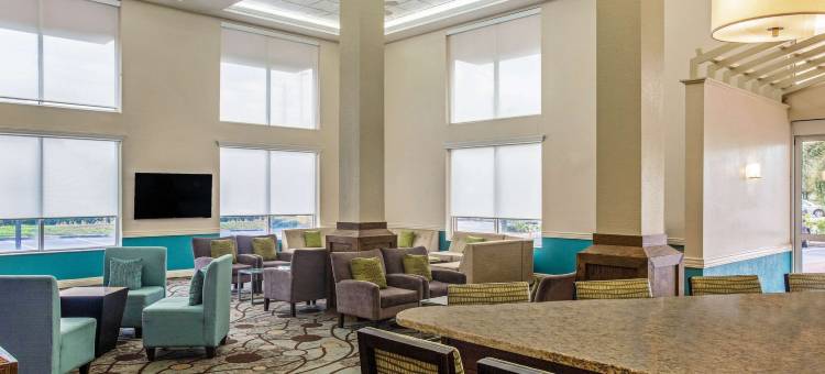 萨拉索塔 I75 舒适套房酒店(Comfort Inn & Suites Sarasota I75)图片