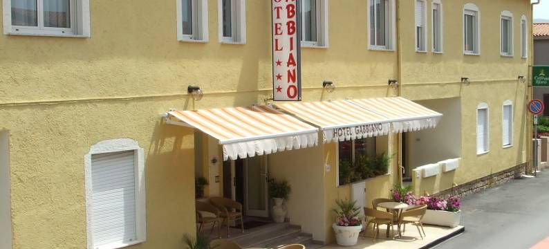 冈比亚诺爱琴罗萨岛酒店(A.I.R. Hotel Gabbiano)图片