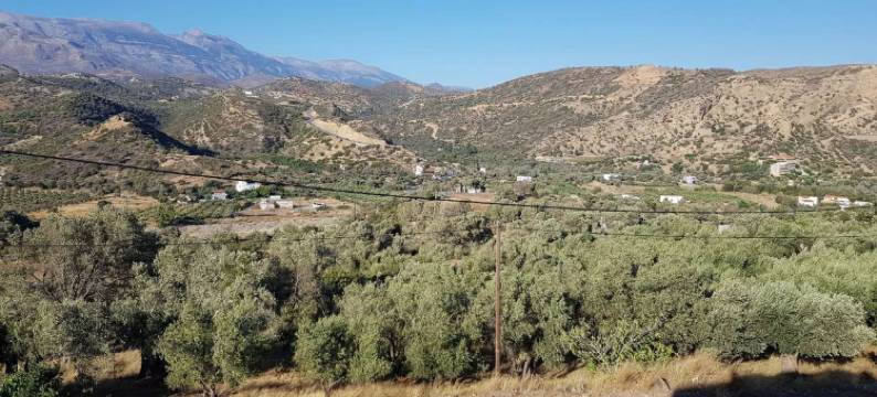 克莱塔之星公寓酒店(Creta Star Apartments)图片