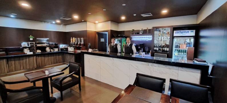 库里科阿尔马格罗迪亚哥酒店(Hotel Diego de Almagro Curicó)图片