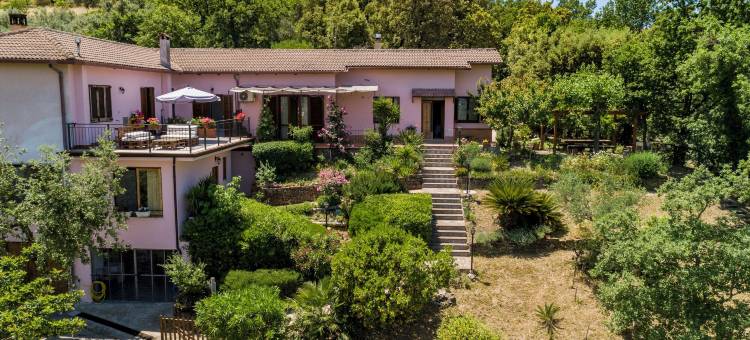 阿尔巴奇亚拉坎帕尼亚家庭旅馆(B&B Albachiara Casa di Campagna)图片