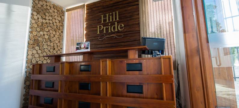 希尔普赖德城市酒店(Hill Pride City Hotel)图片