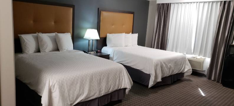 伯班克波托菲诺酒店(Portofino Inn Burbank)图片