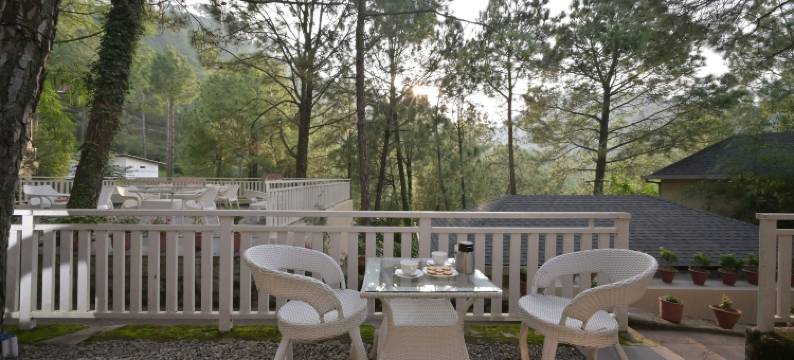 丛林小屋(Jungle Lodge Resort)图片