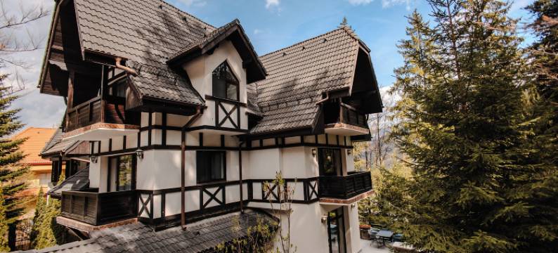 汤姆别墅(Villa Tom)图片