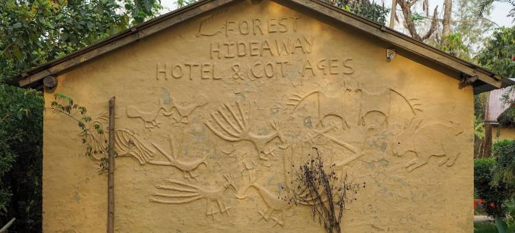 森林隐居酒店及小屋(Forest Hideaway Resort Pvt Ltd)图片