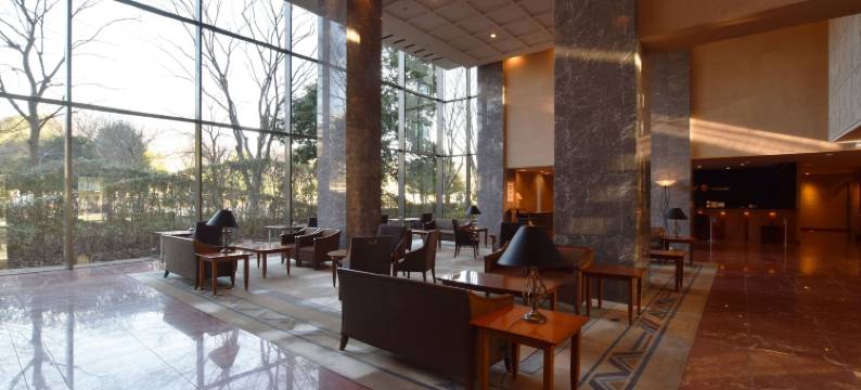 筑波日航都市酒店(Hotel JAL City Tsukuba)图片