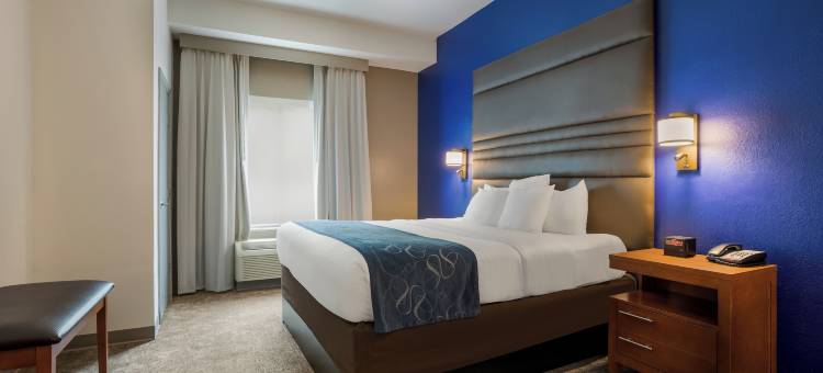 德纳姆斯普林斯舒适套房酒店(Comfort Suites Denham Springs)图片