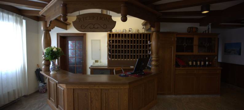 机场瓦尔多夫酒店(Airport Hotel Walldorf)图片