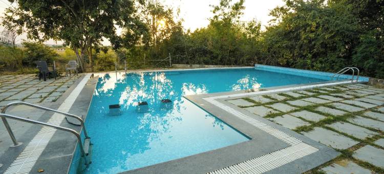 马胡阿托拉塔多巴(Mahua Tola Tadoba)图片