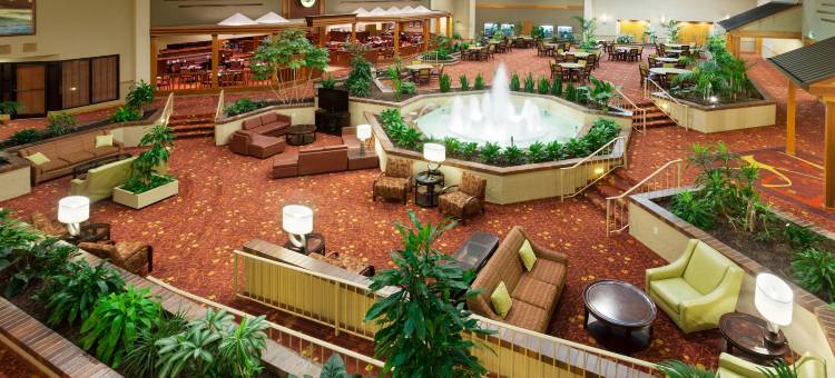 Holiday Inn 辛辛那提机场(Holiday Inn Cincinnati Airport)图片