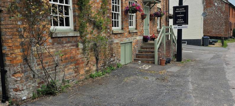 大麦粒(The Barleycorn)图片