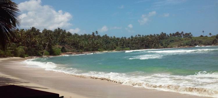 Nest住宅 - 旅舍(Nest Residence - Hostel)图片