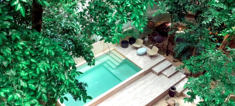 特拉苏里维埃拉玛雅酒店&水疗中心，位于斯卡雷特(Terasu Riviera Maya Hotel & Spa, en Xcaret)图片
